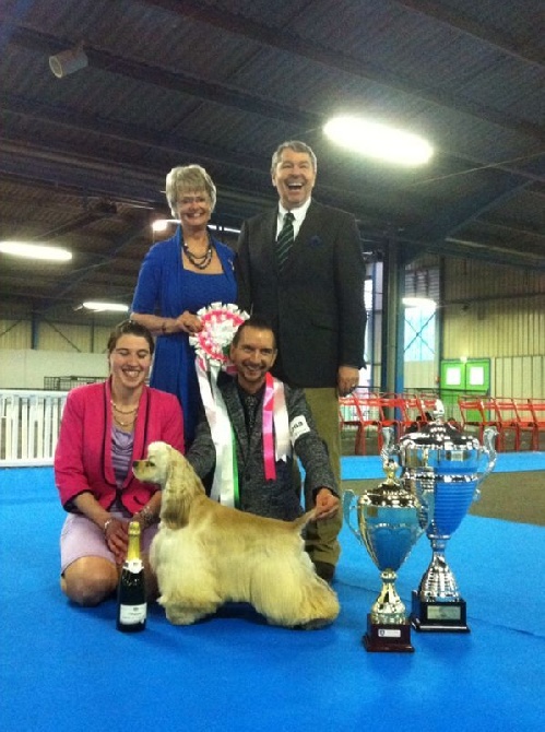 Dream Of Best In Show - NATIONALE D'ELEVAGE SPANIEL 2014